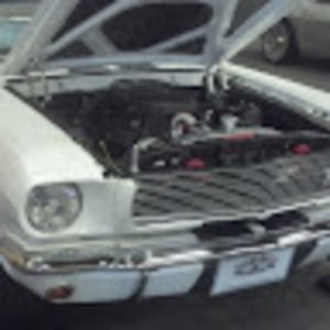 Meet your Posher, Danilo